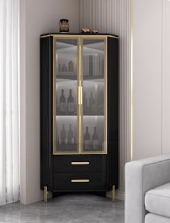 Black & Gold High Gloss Display Cabinet